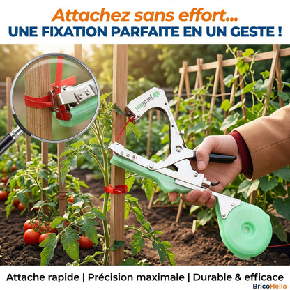 Attache Plante Révolutionnaire - BRICO HELLO