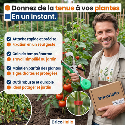 Attache Plante Révolutionnaire - BRICO HELLO