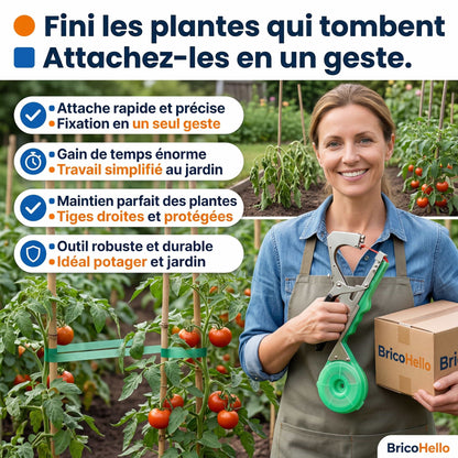Attache Plante Révolutionnaire - BRICO HELLO