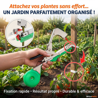 Attache Plante Révolutionnaire - BRICO HELLO